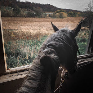 Meet your Posher, Tyler